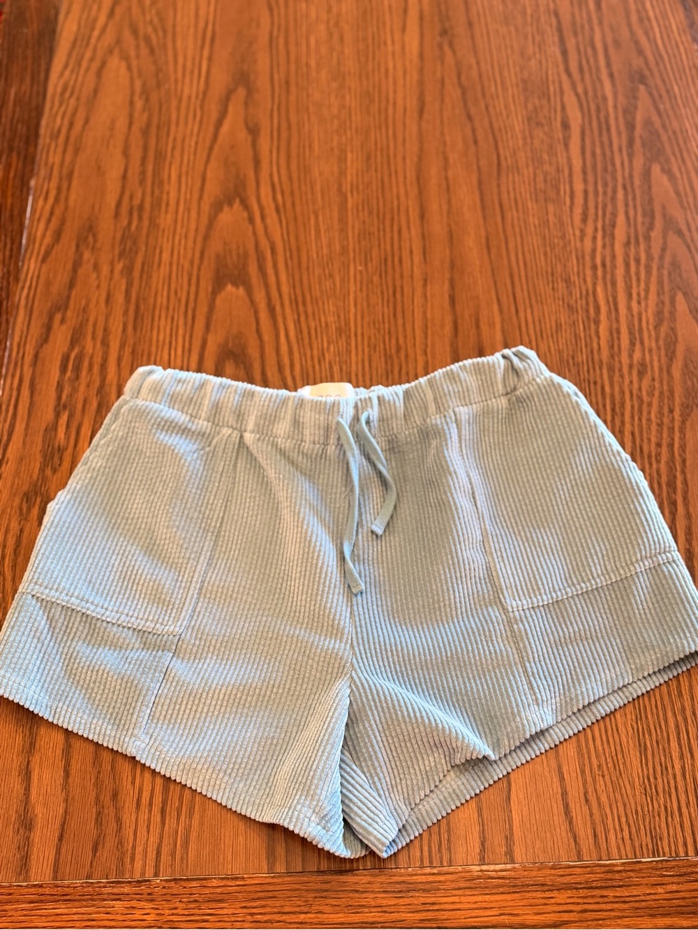 BDG Light Blue Corduroy Pull-On Shorts